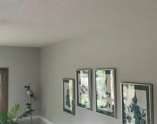 interior painting project in North Carolina (20)